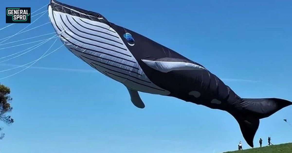 Soaring Giants The Spectacular Journey of 17m Sperm Whale Kite with Petunia & More