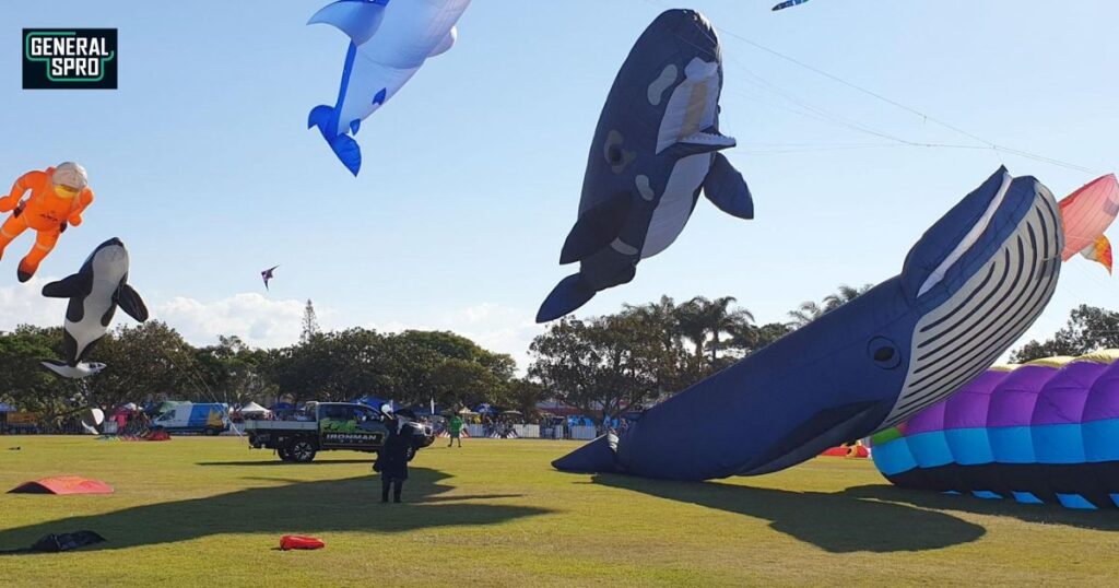 What is the 17m Sperm Whale Kite with Petunia