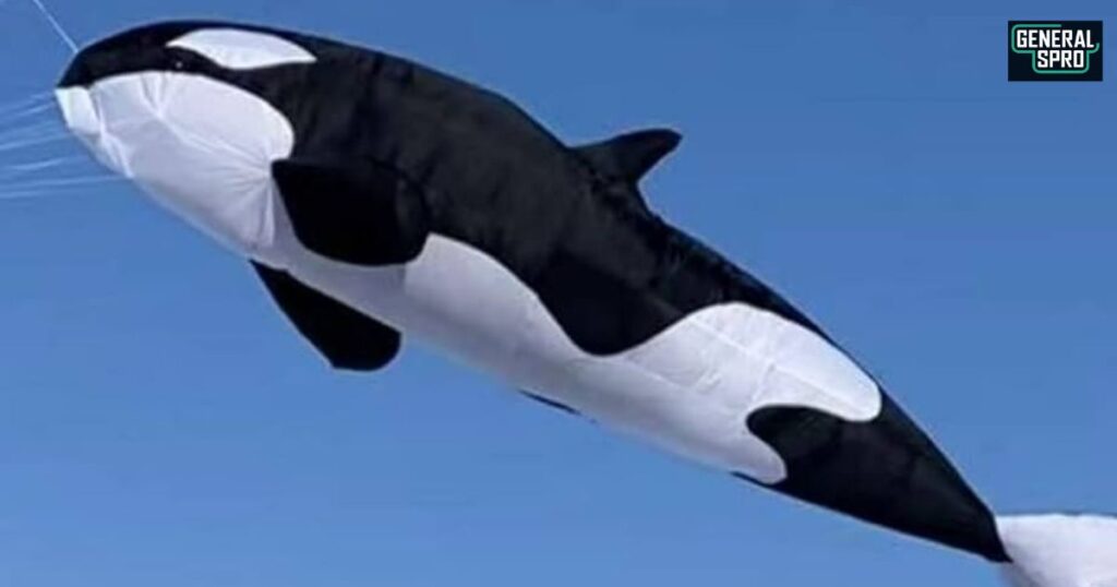 Why the 17m Sperm Whale Kite with Petunia is a Huge Hit