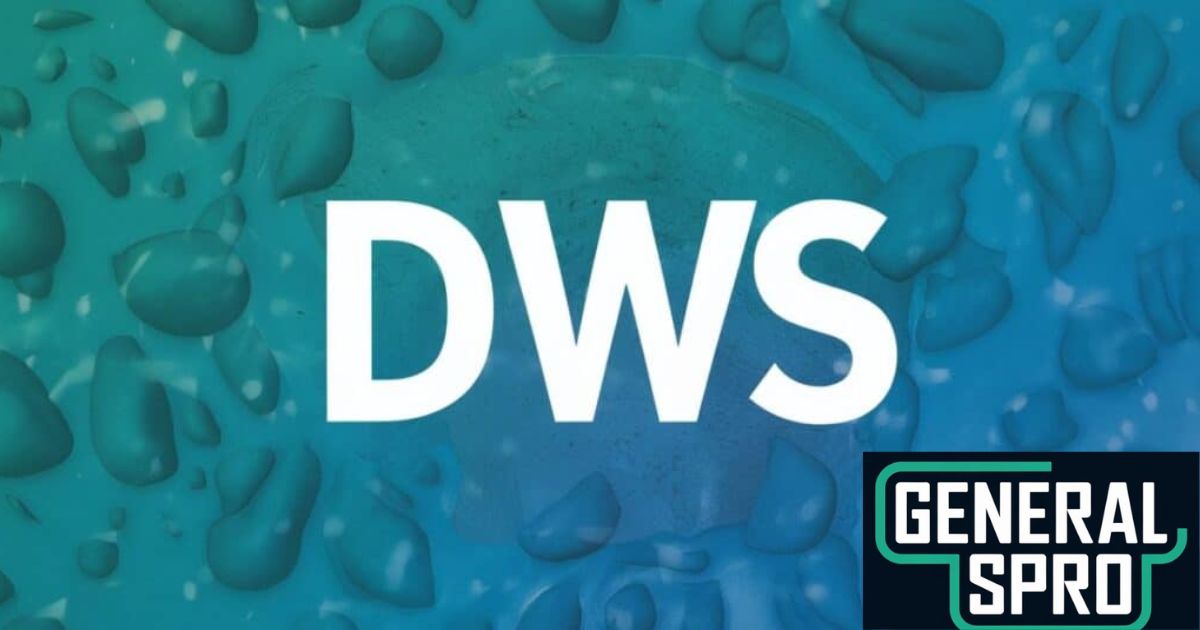 DWS Meaning Understanding in Texting, Social Media & More