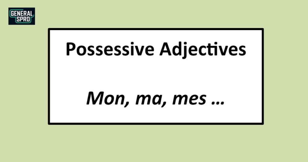 Examples of Possessives in Context